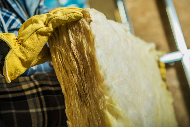 Best Commercial Insulation Contractor  in Pecan Grove, TX